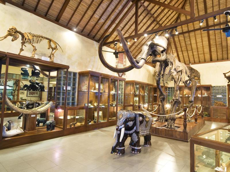 Mason Elephant Lodge Ubud Exterior foto